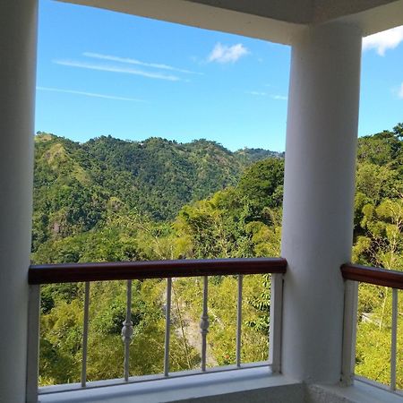 Gorgeous 1 Bedroom Apartment In The Kingston Hills ภายนอก รูปภาพ