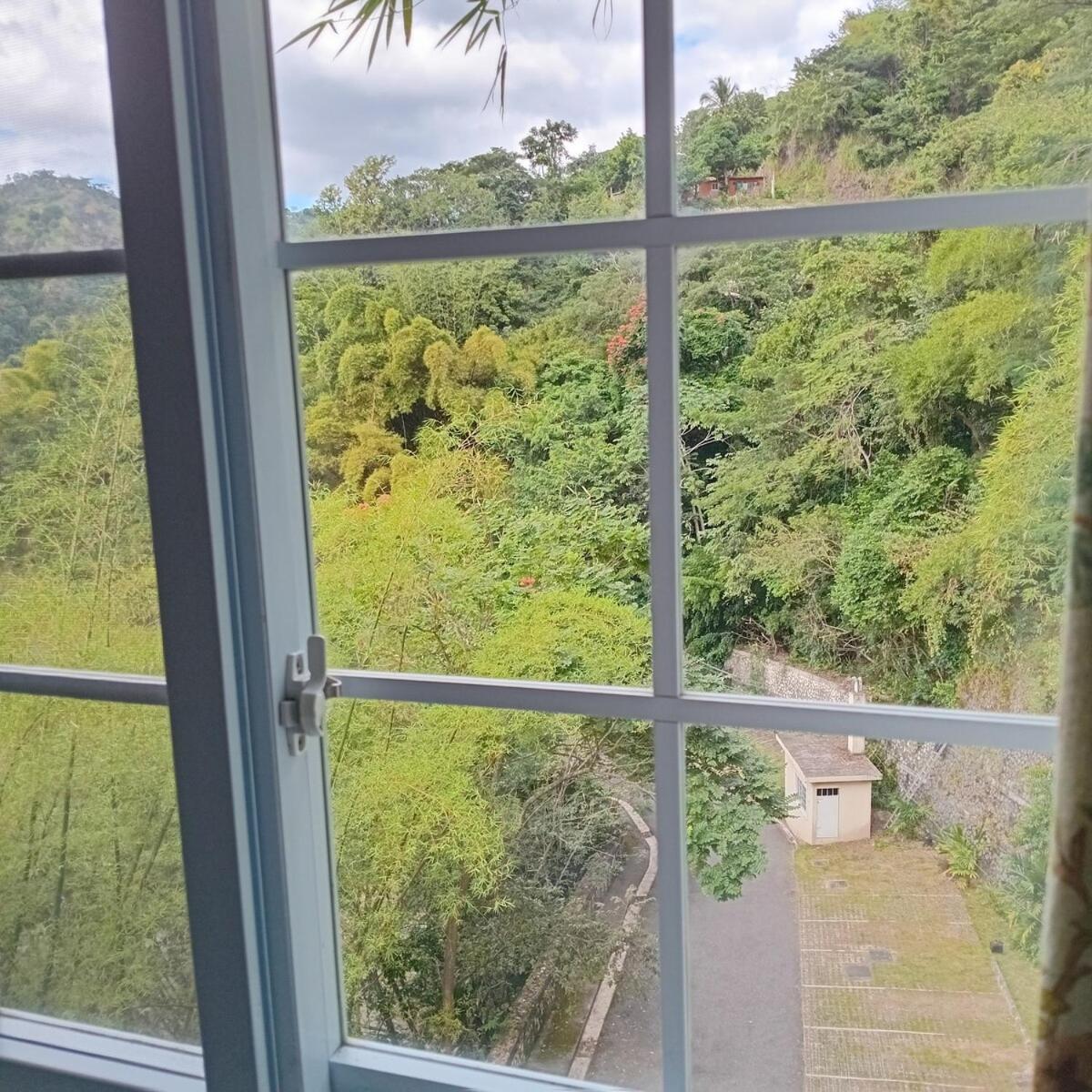 Gorgeous 1 Bedroom Apartment In The Kingston Hills ภายนอก รูปภาพ