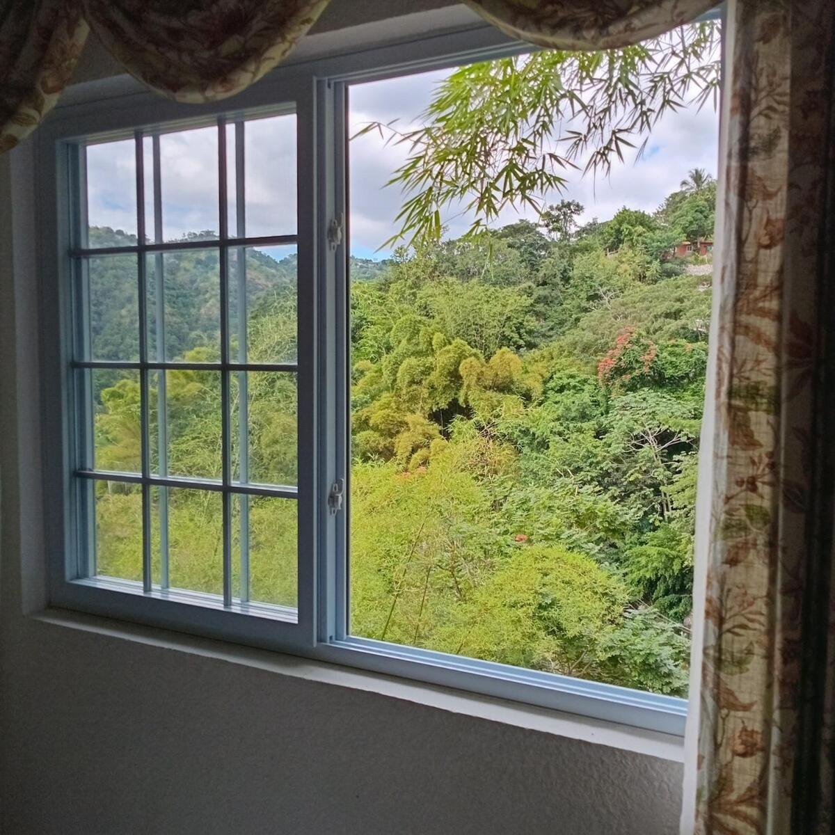 Gorgeous 1 Bedroom Apartment In The Kingston Hills ภายนอก รูปภาพ