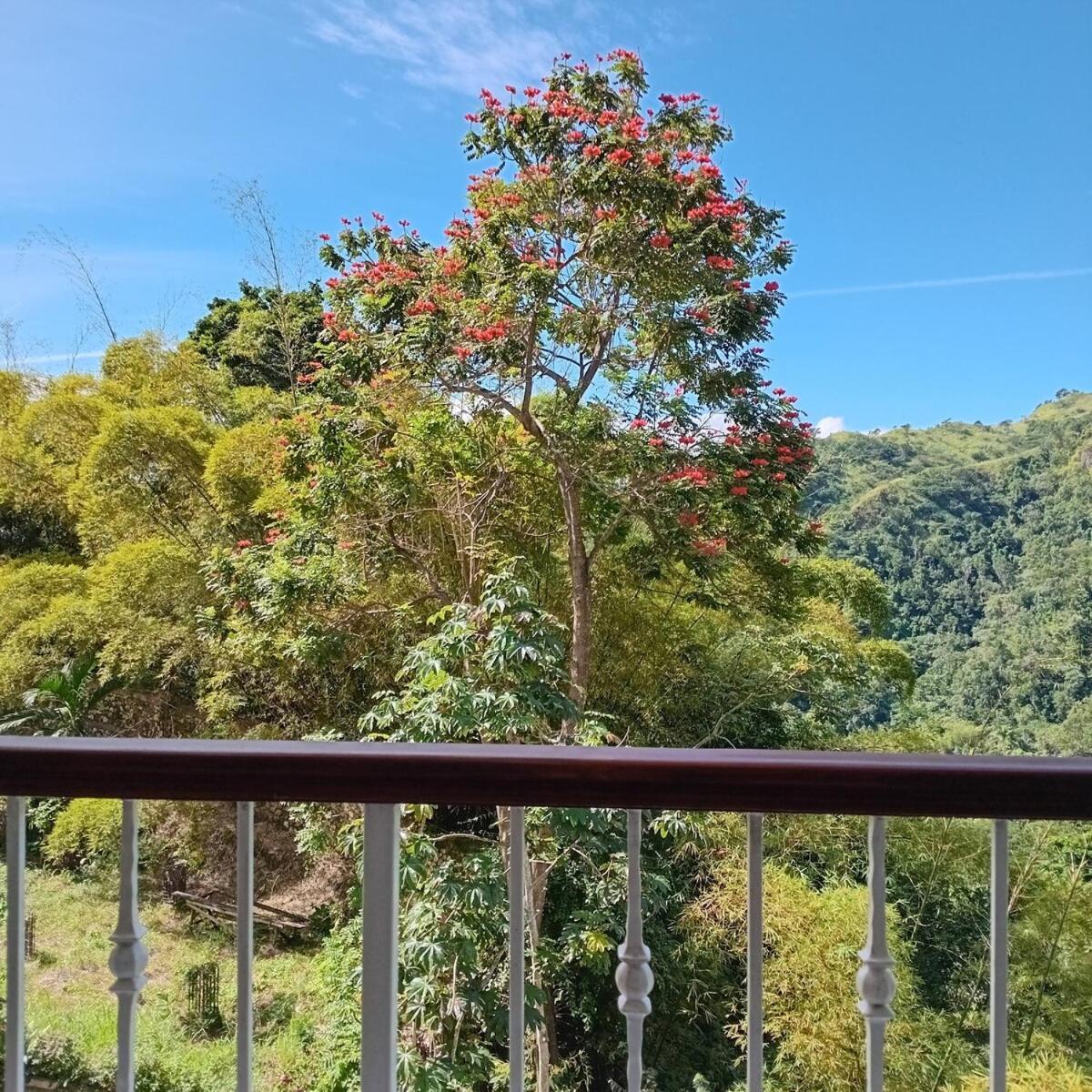 Gorgeous 1 Bedroom Apartment In The Kingston Hills ภายนอก รูปภาพ