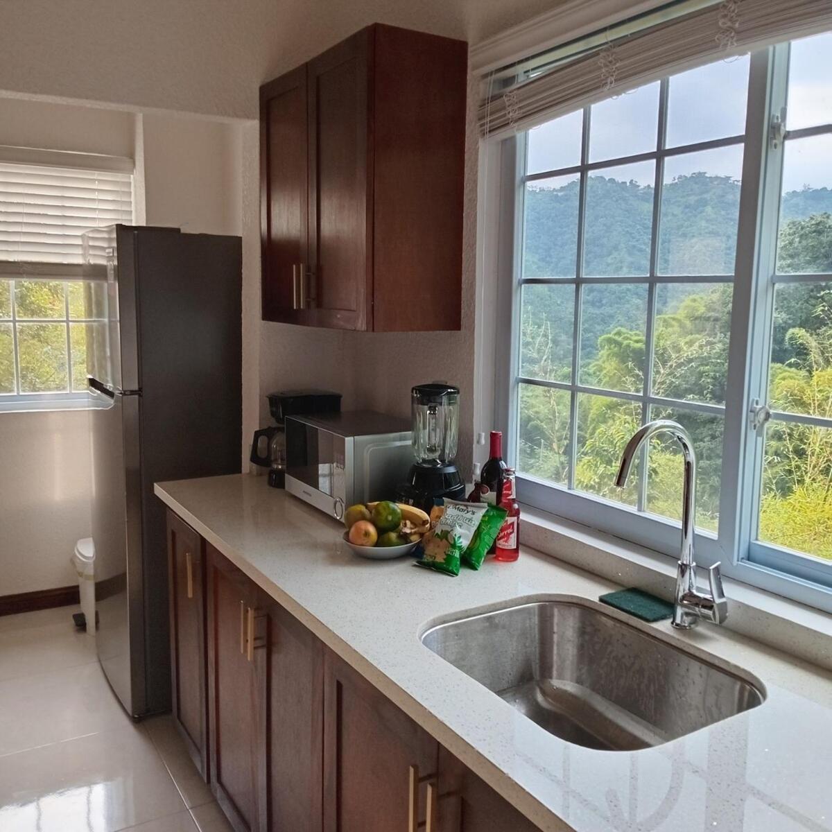 Gorgeous 1 Bedroom Apartment In The Kingston Hills ภายนอก รูปภาพ