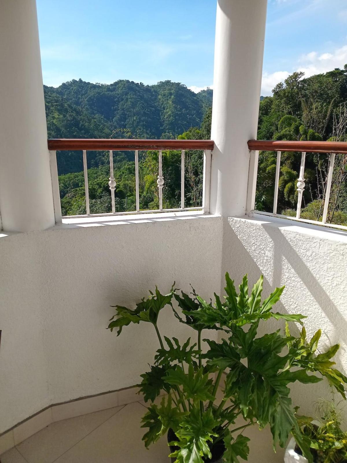 Gorgeous 1 Bedroom Apartment In The Kingston Hills ภายนอก รูปภาพ