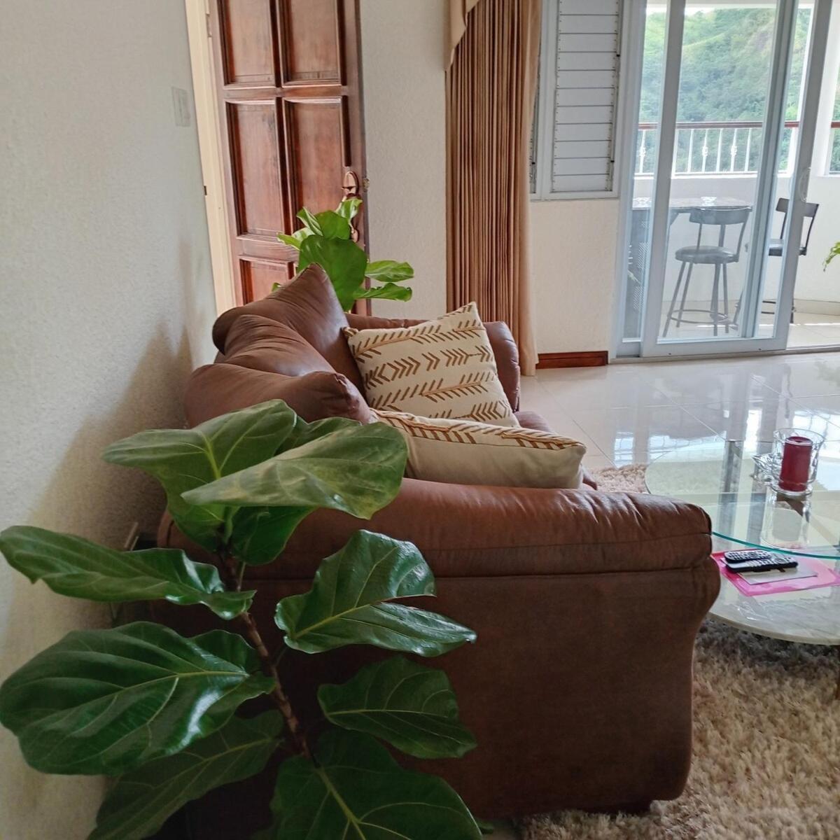 Gorgeous 1 Bedroom Apartment In The Kingston Hills ภายนอก รูปภาพ