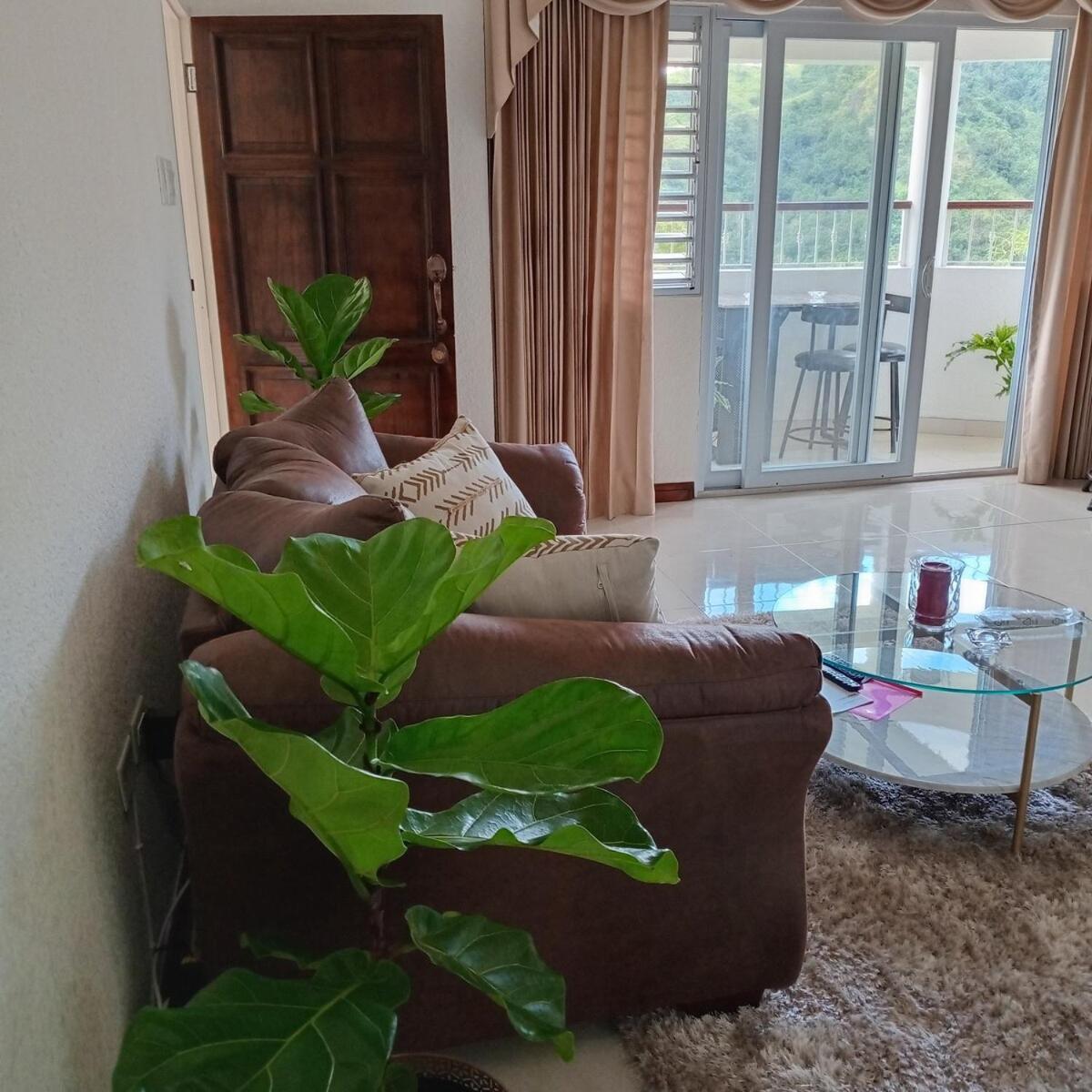 Gorgeous 1 Bedroom Apartment In The Kingston Hills ภายนอก รูปภาพ