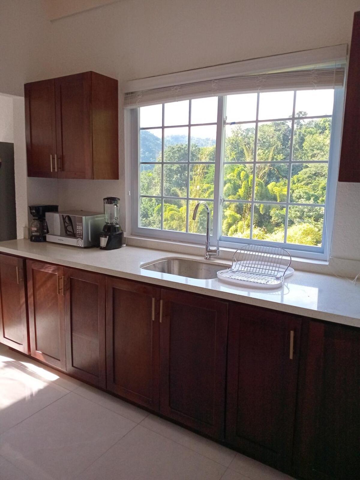 Gorgeous 1 Bedroom Apartment In The Kingston Hills ภายนอก รูปภาพ