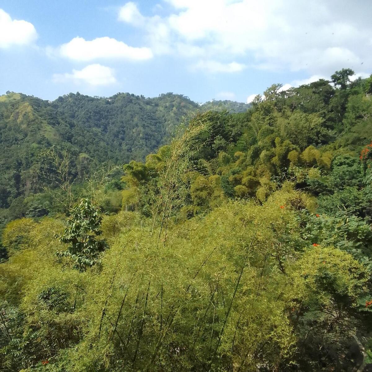 Gorgeous 1 Bedroom Apartment In The Kingston Hills ภายนอก รูปภาพ