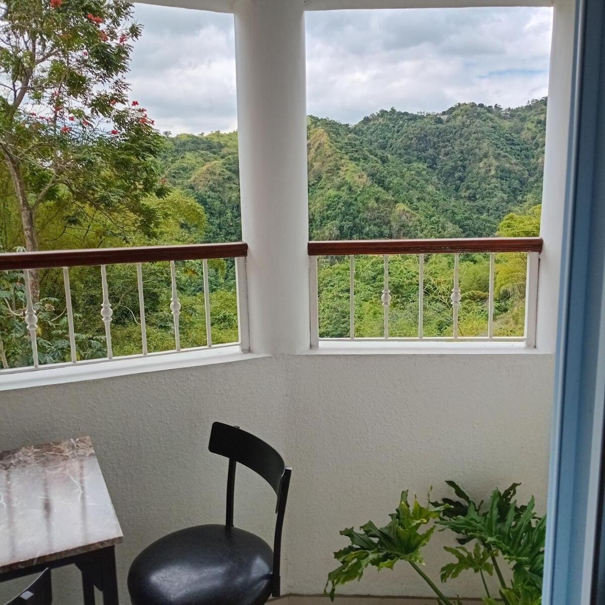 Gorgeous 1 Bedroom Apartment In The Kingston Hills ภายนอก รูปภาพ